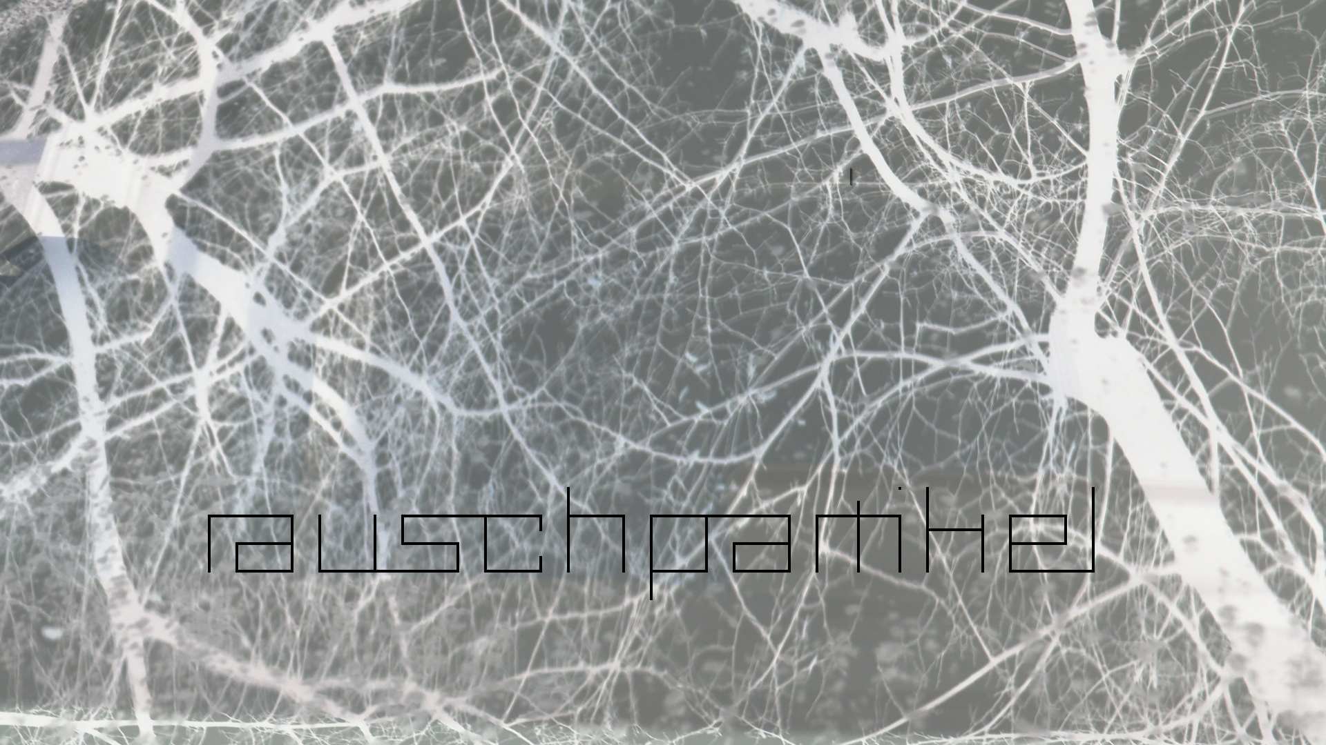 2021-01-06 - 08 Kühlgeträt (On/Off) (Remix John Cage - Empty Words IV)